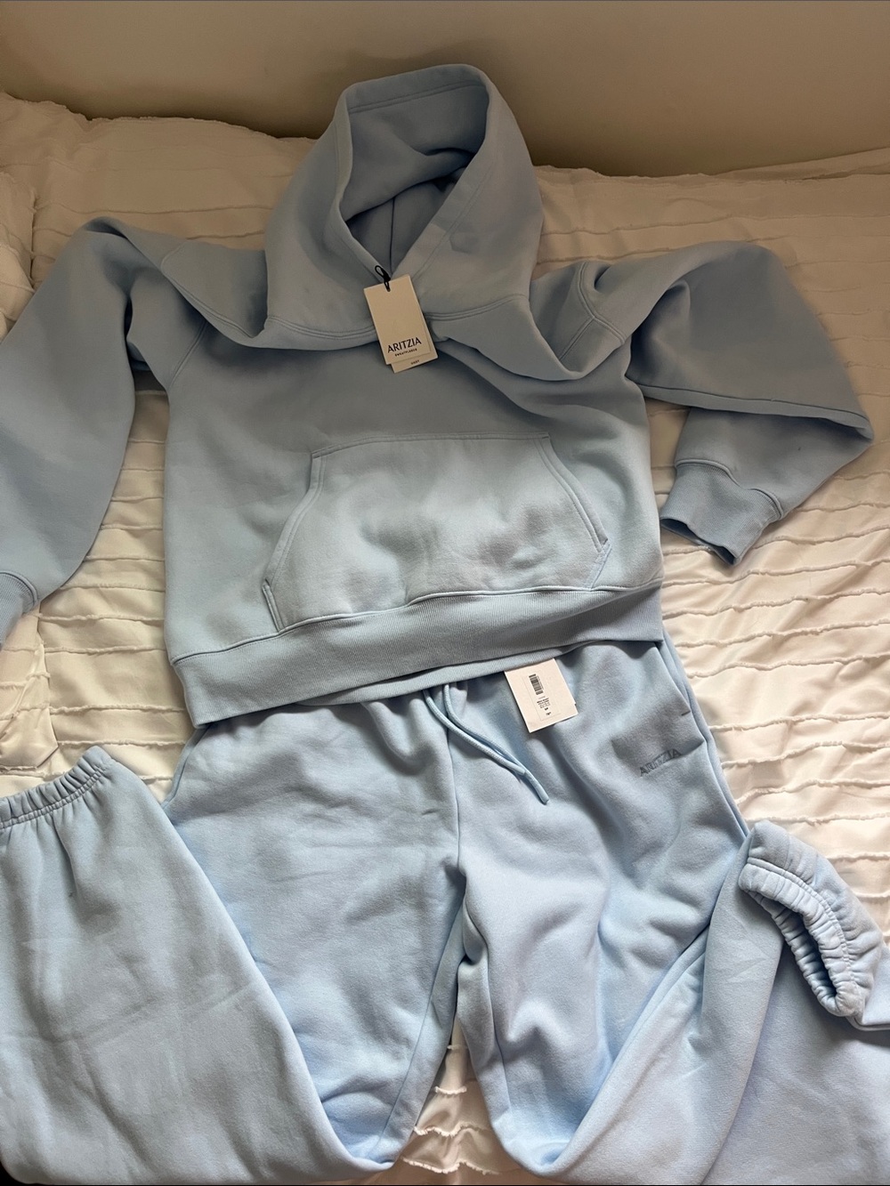 NWT Aritzia Villa Blue Sweat Set